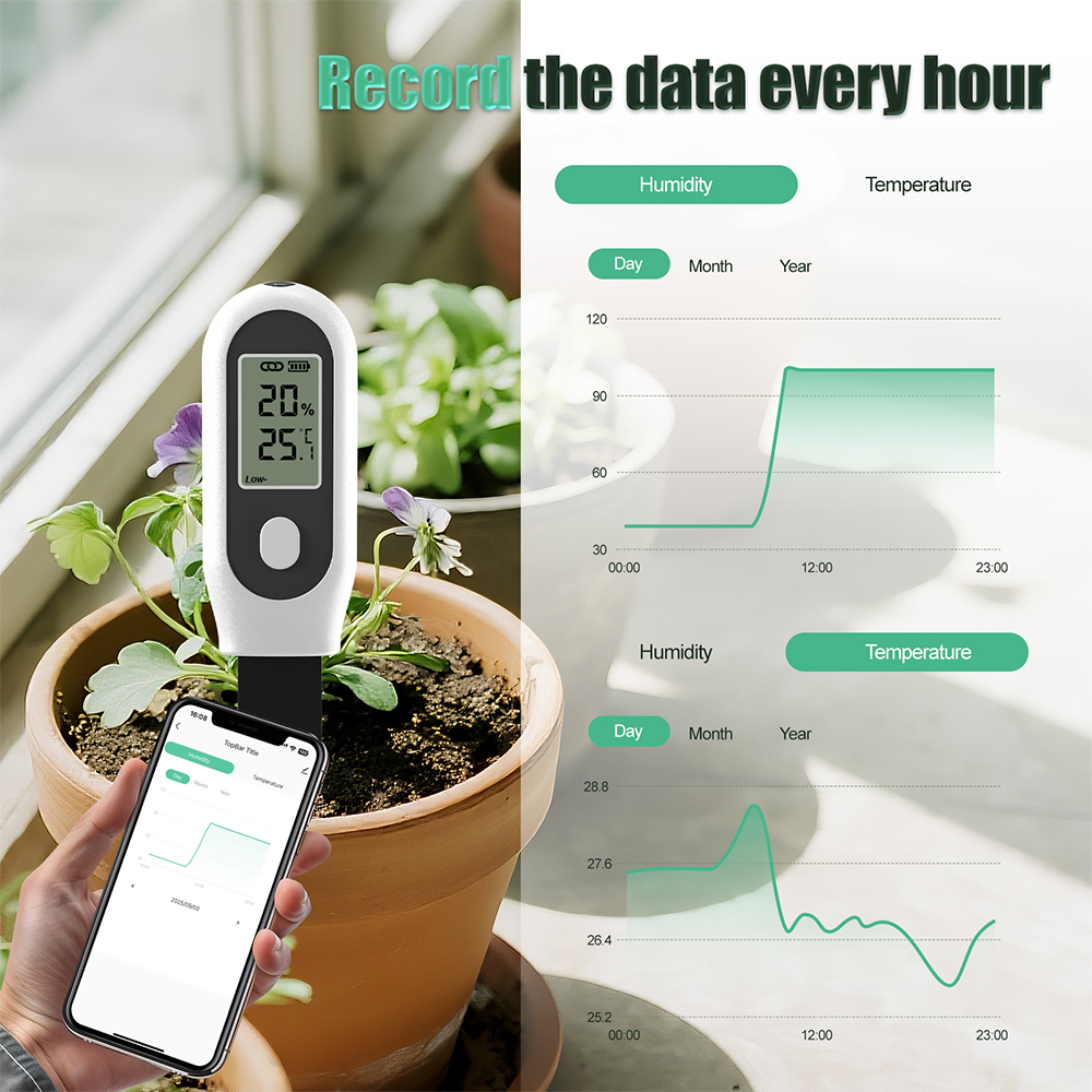 Smart Garden Home Assistant - Tuya Zigbee 3 en 1 température