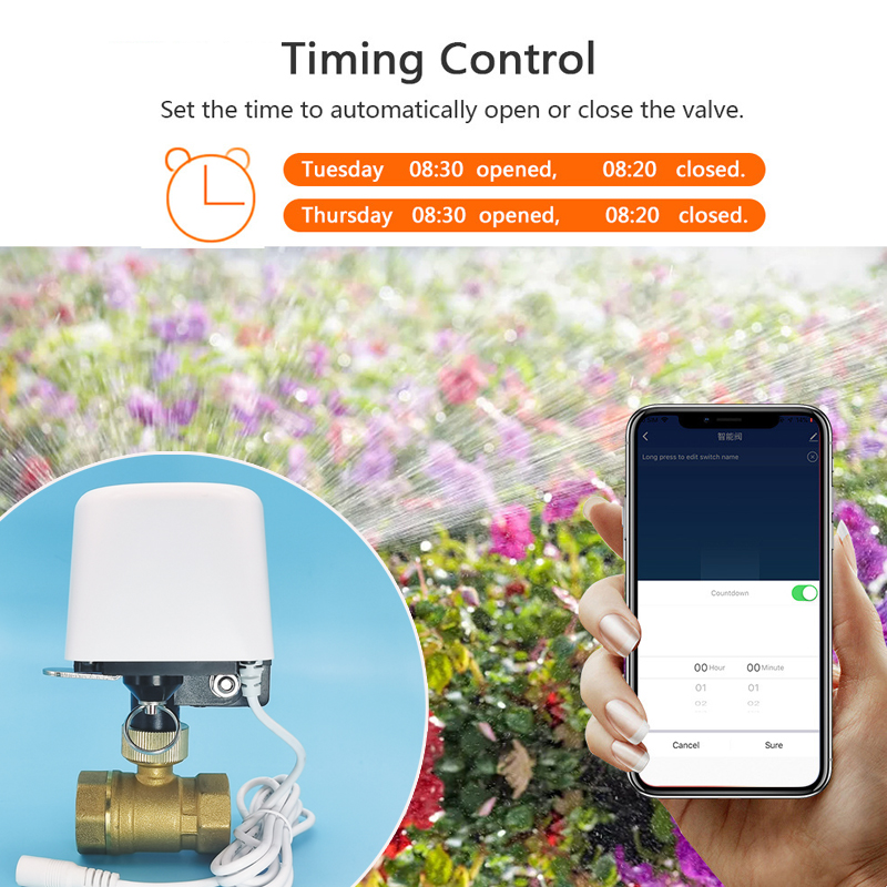 Vanne d'eau intelligente Tuya  - Smart Garden Home Assistant avis et prix