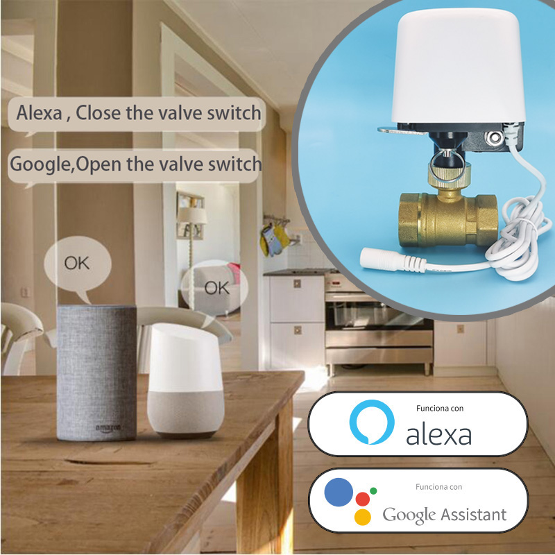 Vanne d'eau intelligente Tuya  - Smart Garden Home Assistant avis et prix