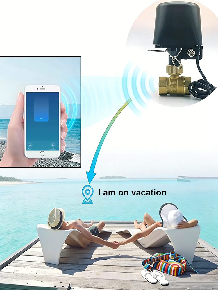 Vanne d'eau intelligente Tuya  - Smart Garden Home Assistant avis et prix