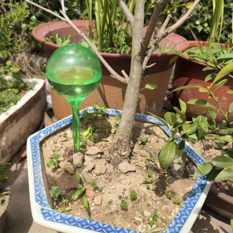6 boules d'arrosage automatiqu - Smart Garden Technology avis et prix