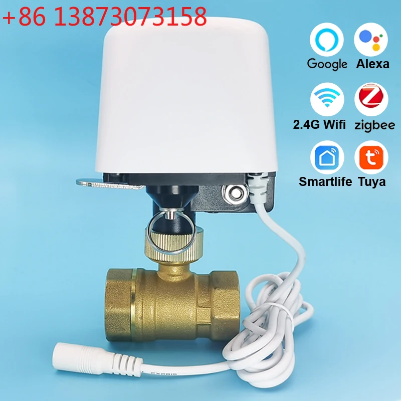 Vanne d'eau Tuya Zigbee Wifi 1 - Smart Garden Home Assistant avis et prix