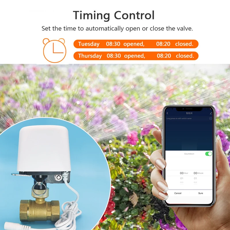 Vanne d'eau Tuya Zigbee Wifi 1 - Smart Garden Home Assistant avis et prix