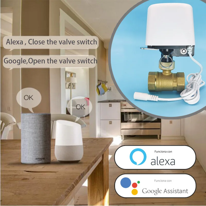 Vanne d'eau Tuya Zigbee Wifi 1 - Smart Garden Home Assistant avis et prix