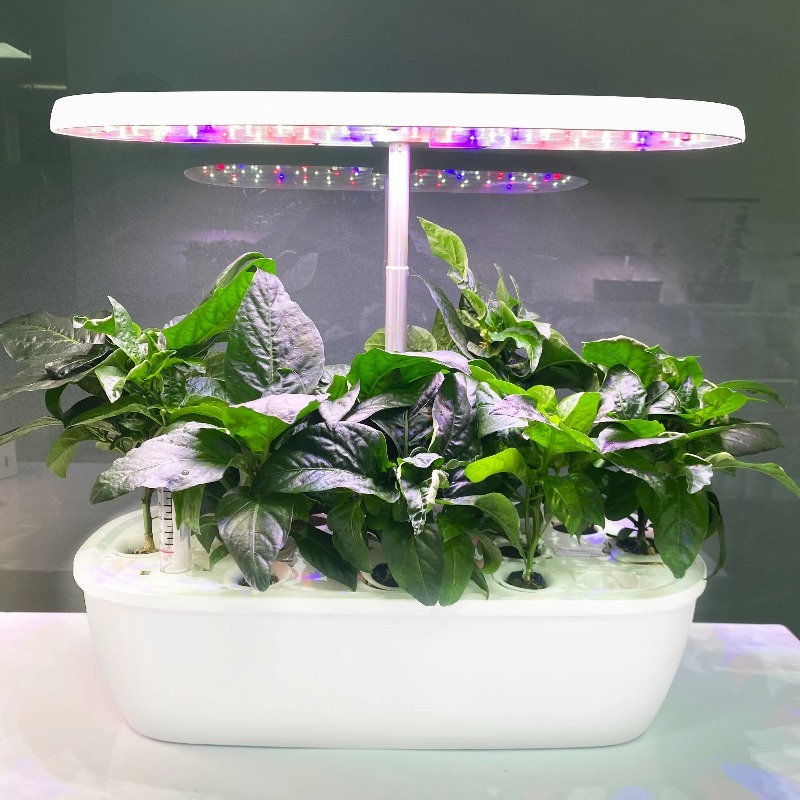 Système de jardin hydroponique - Smart Garden Design avis et prix
