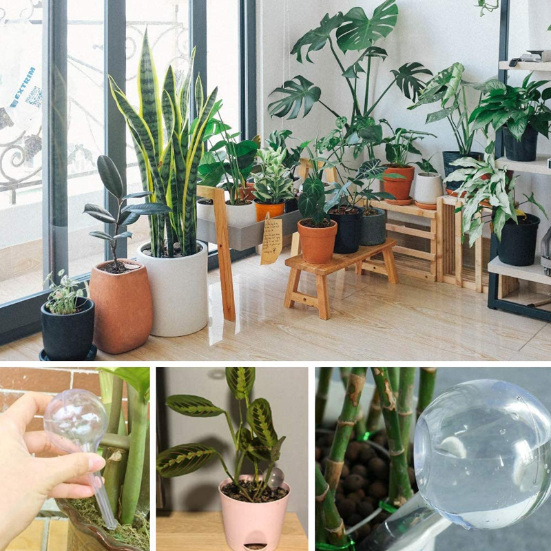 Ampoules d'arrosage automatiqu - Smart Garden Technology avis et prix