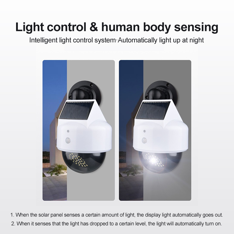 Caméra de Simulation solaire c - Smart Garden Solar Lights avis et prix